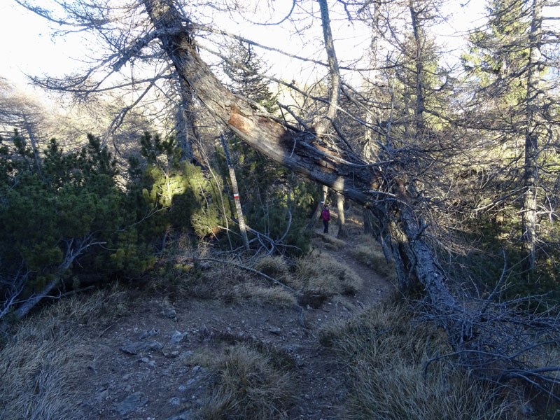 Corno di Tres - Corno del Cervo